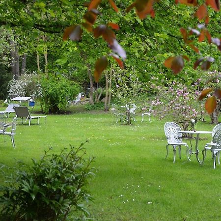 Hotel Villa Koenigin Luise Bad Pyrmont Bagian luar foto